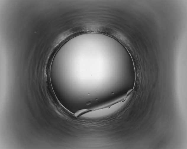 X0000086270674200704122030