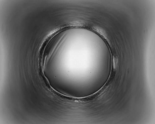 X0000086270675200704122030