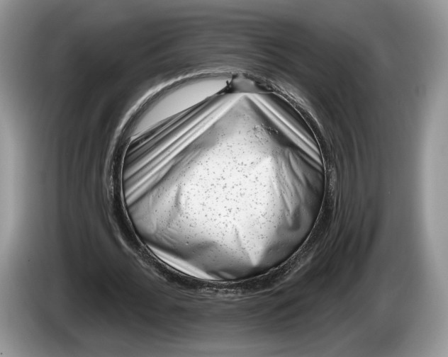 X0000086270676200704122030