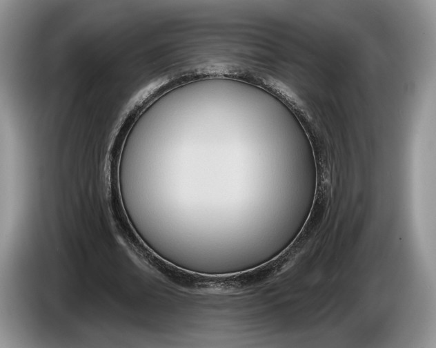 X0000086270678200704122030