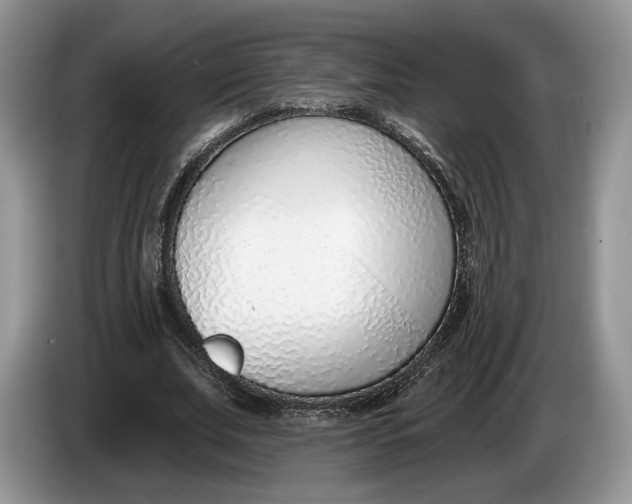 X0000086270679200704122030