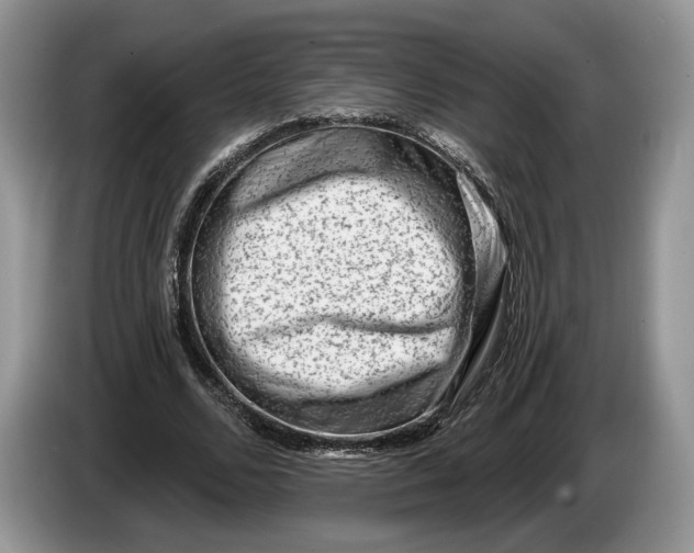 X0000086270680200704122030