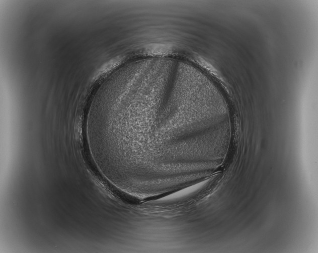 X0000086270681200704122030