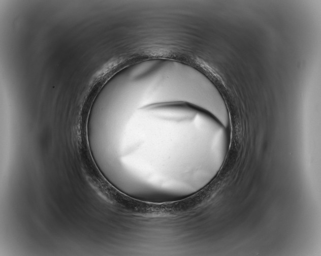 X0000086270682200704122029