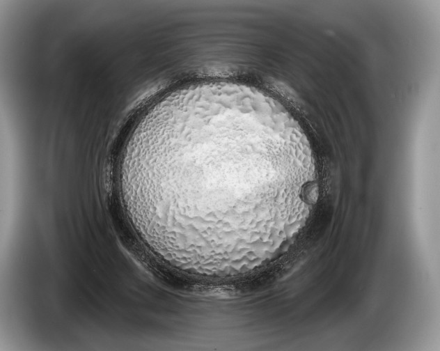 X0000086270683200704122029