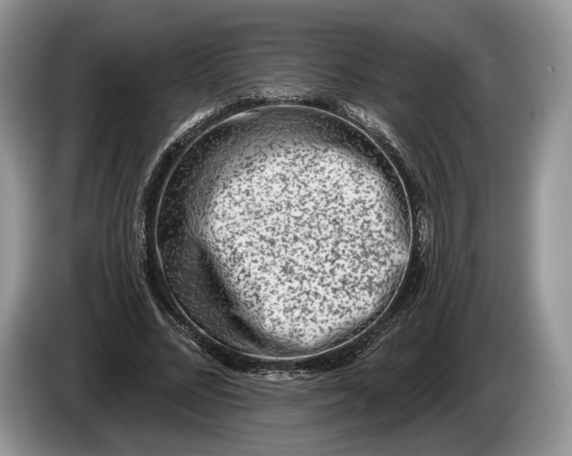 X0000086270684200704122029