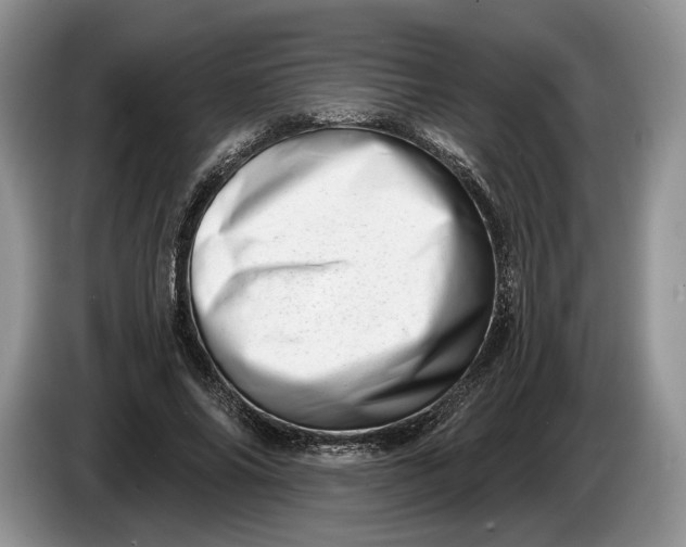 X0000086270686200704122029