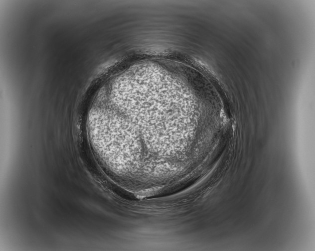 X0000086270688200704122029