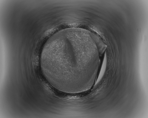 X0000086270689200704122029