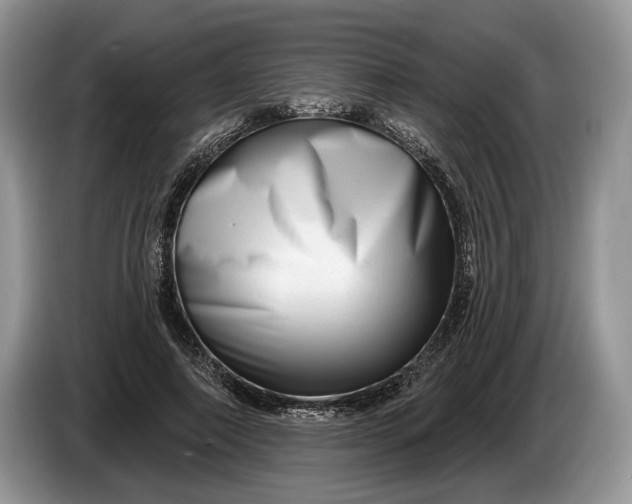 X0000086270690200704122029