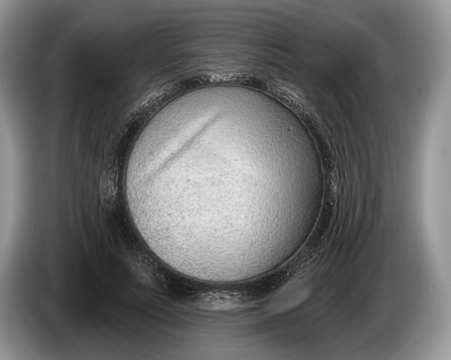 X0000086270691200704122029