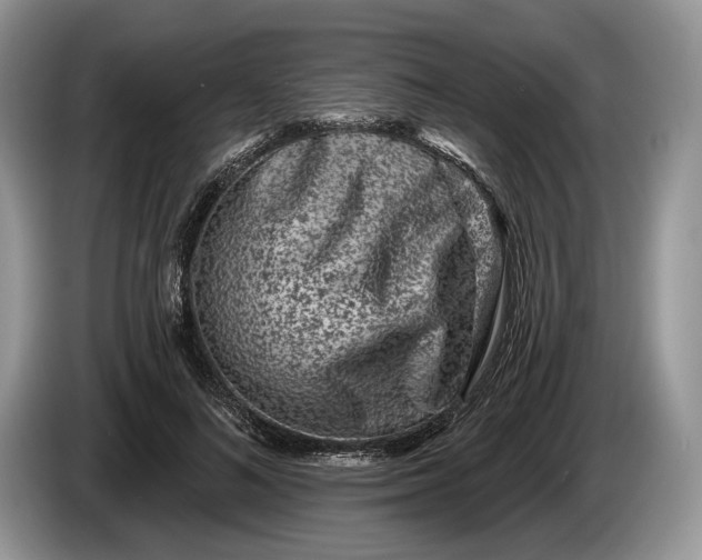 X0000086270692200704122029