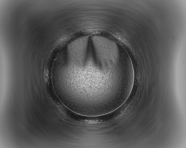 X0000086270693200704122029