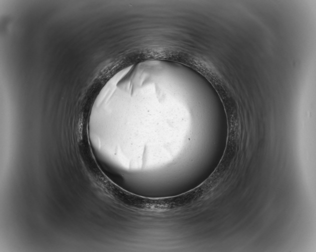 X0000086270694200704122029