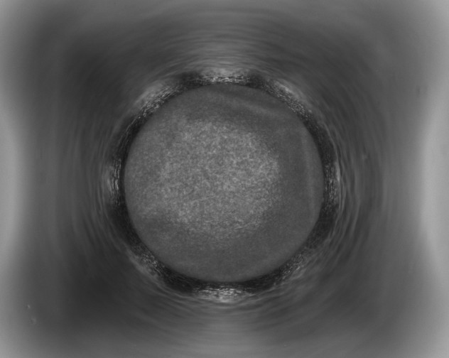 X0000086270695200704122029