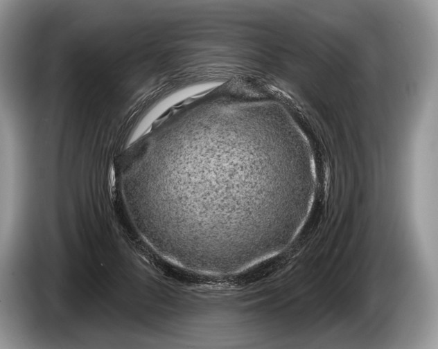 X0000086270696200704122029