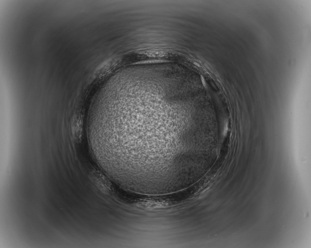 X0000086270697200704122029