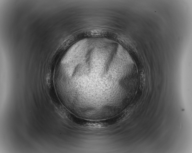 X0000086270698200704122029