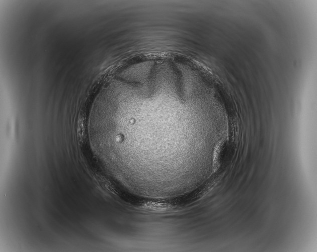 X0000086270699200704122029