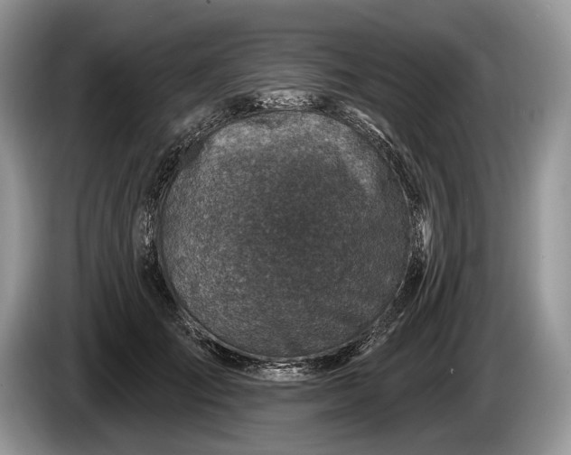 X0000086270701200704122029