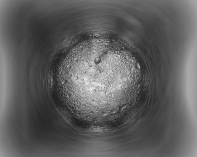 X0000086270703200704122029