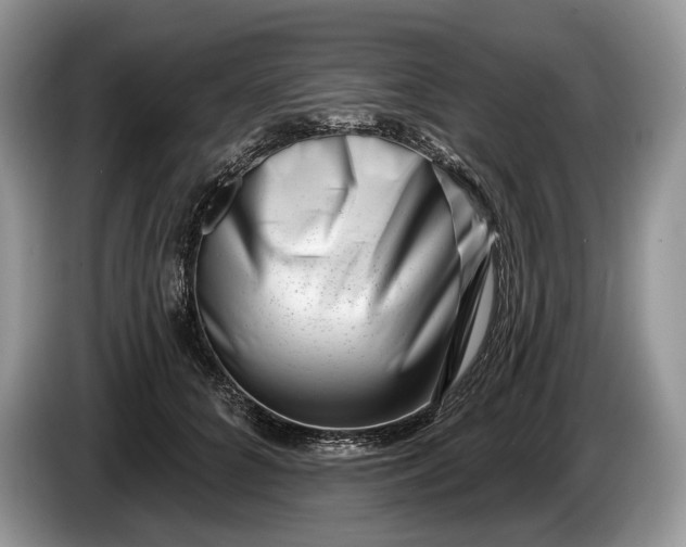 X0000086270704200704122029