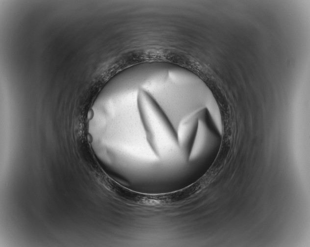 X0000086270706200704122029