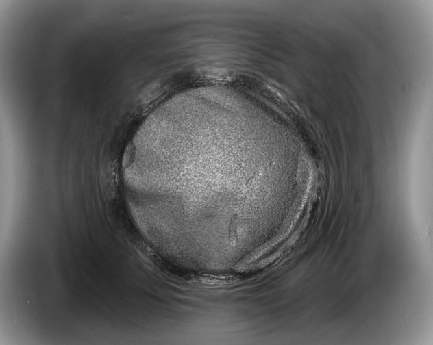 X0000086270707200704122029