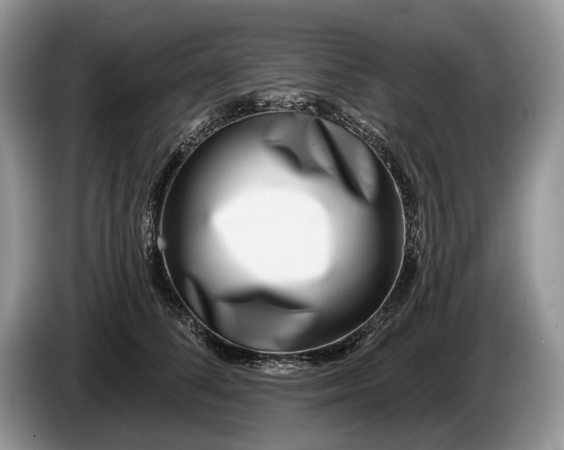 X0000086270708200704122029