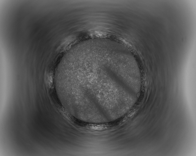 X0000086270709200704122029