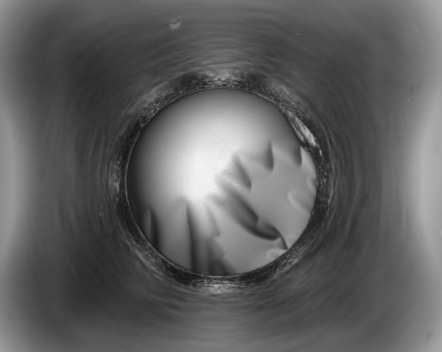 X0000086270710200704122029