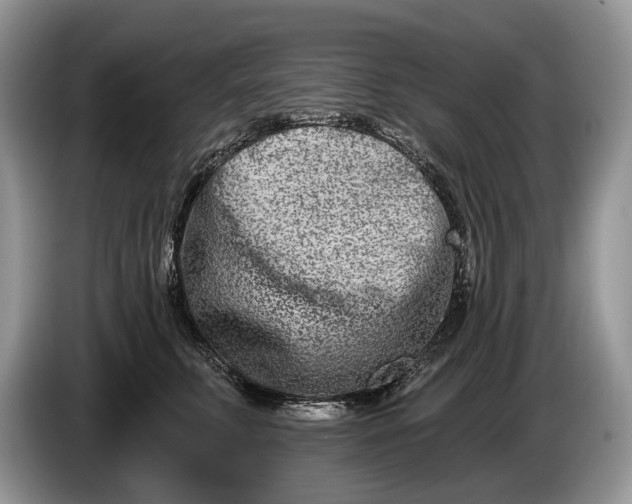 X0000086270711200704122029