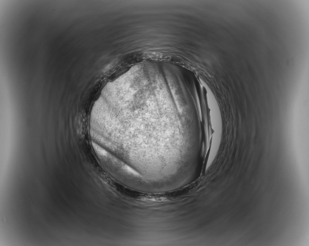 X0000086270712200704122029