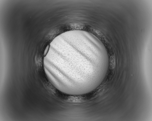 X0000086270713200704122029