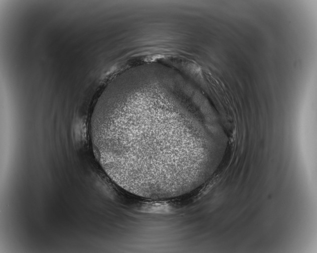 X0000086270715200704122029