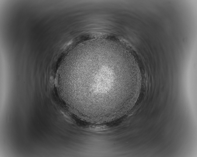 X0000086270716200704122029