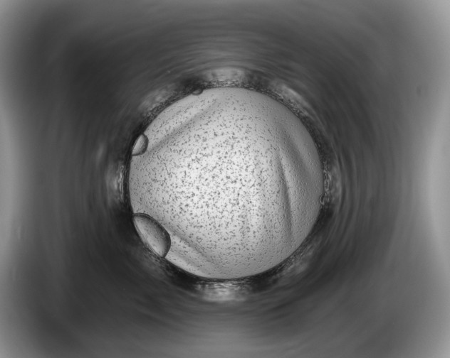 X0000086270717200704122029