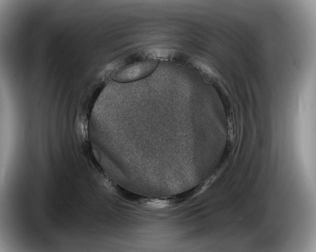 X0000086270718200704122029