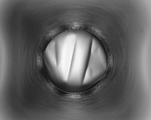 X0000086270719200704122029