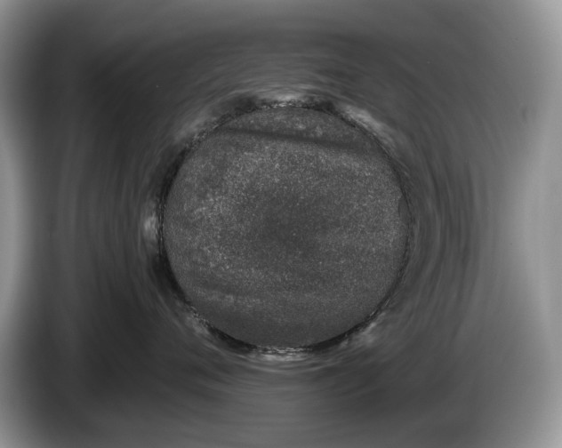 X0000086270720200704122029