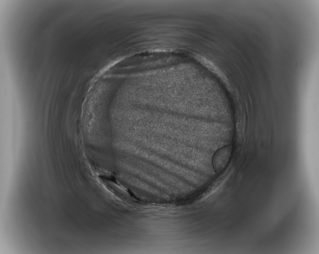 X0000086270721200704122028