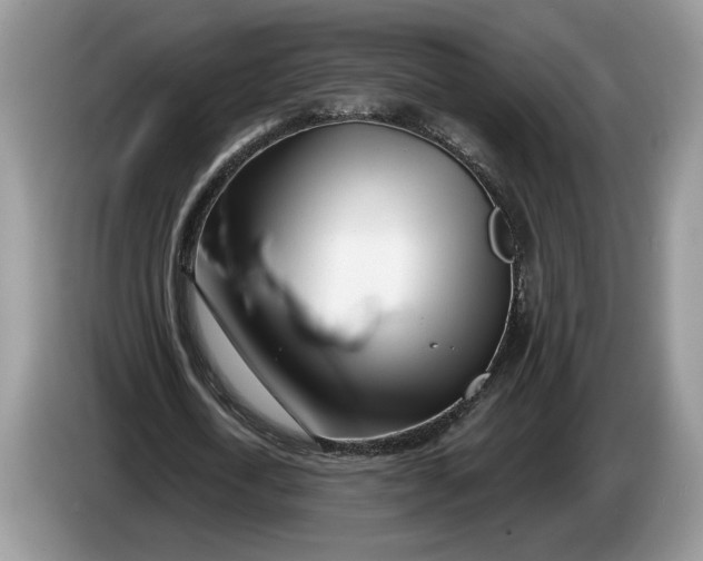 X0000086270722200704122028