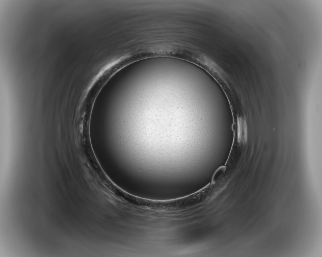 X0000086270723200704122028