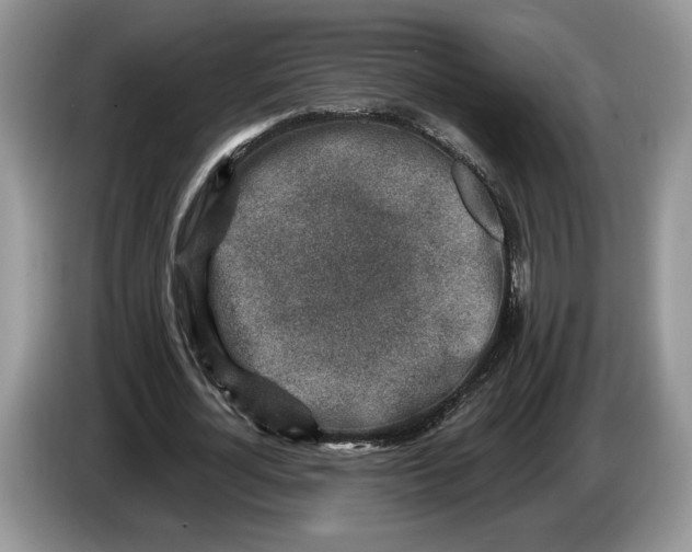 X0000086270724200704122028