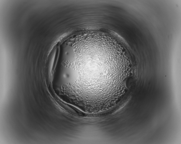 X0000086270725200704122028