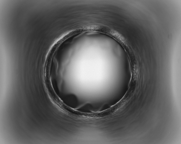 X0000086270726200704122028