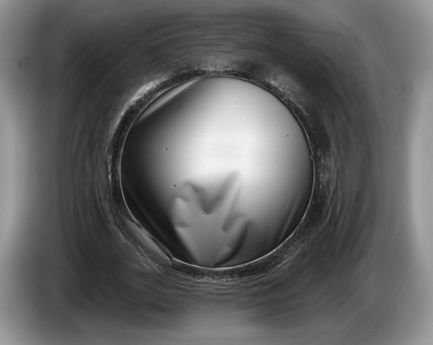 X0000086270727200704122028