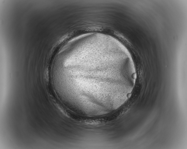 X0000086270729200704122028