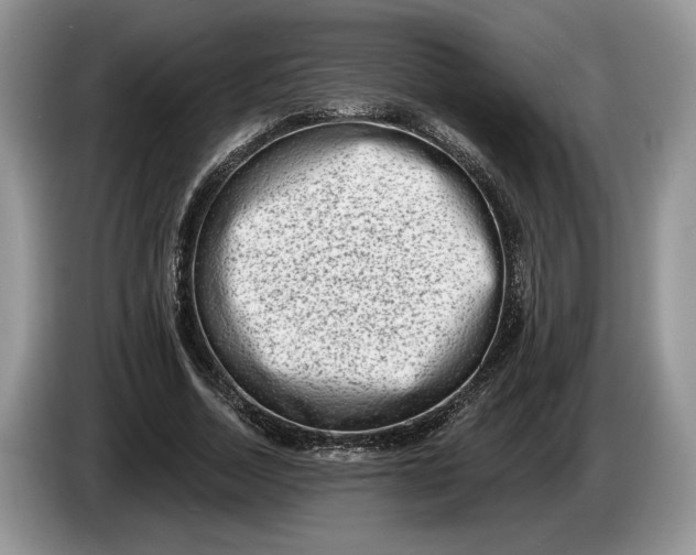 X0000086270730200704122028