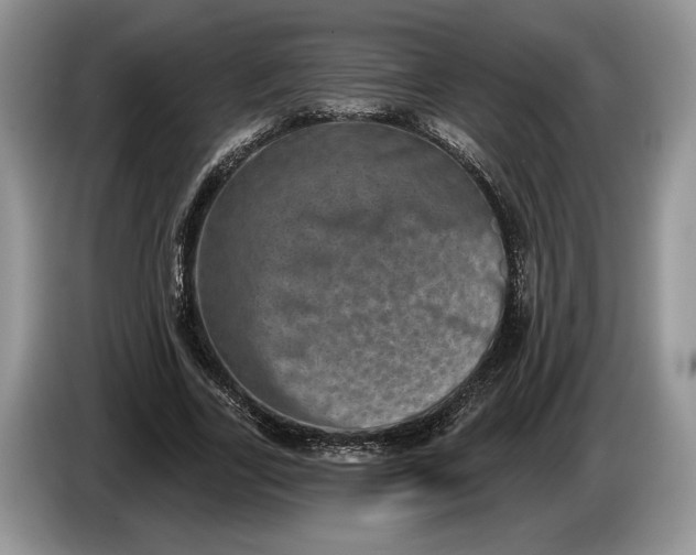 X0000086270731200704122028